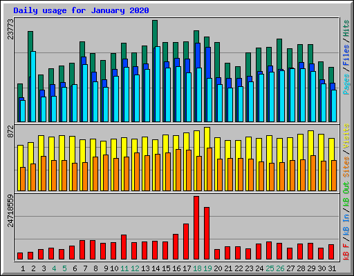 Daily usage for January 2020