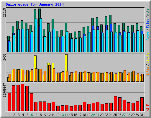 Daily usage for January 2024