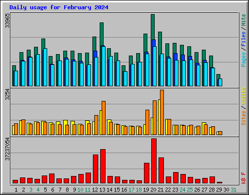 Daily usage for February 2024
