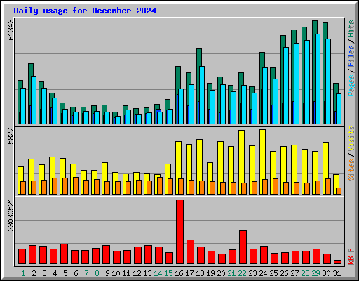 Daily usage for December 2024
