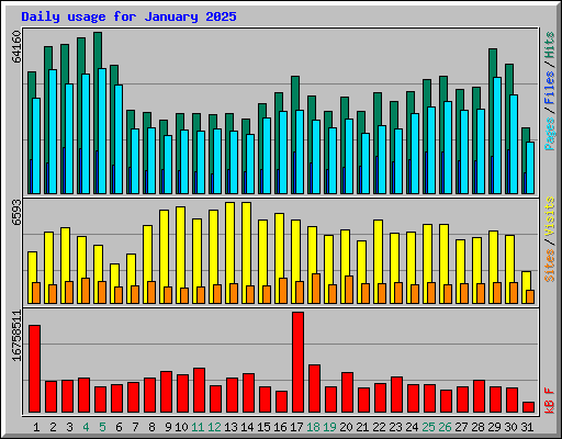 Daily usage for January 2025