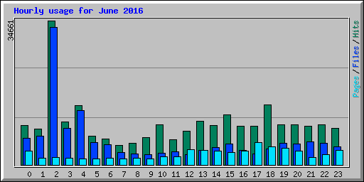 Hourly usage for June 2016
