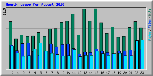 Hourly usage for August 2016