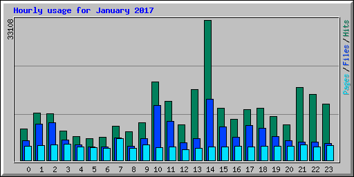 Hourly usage for January 2017