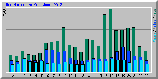 Hourly usage for June 2017