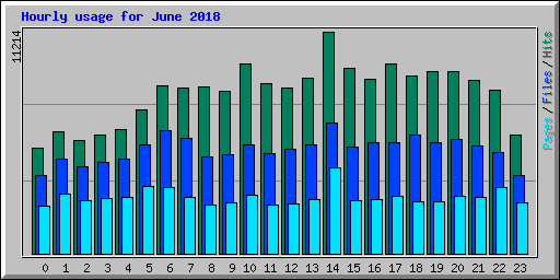 Hourly usage for June 2018