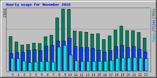 Hourly usage for November 2018
