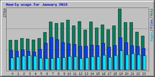 Hourly usage for January 2019