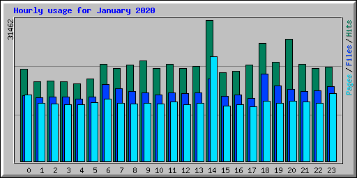 Hourly usage for January 2020