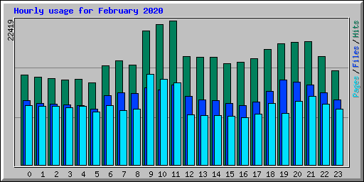 Hourly usage for February 2020