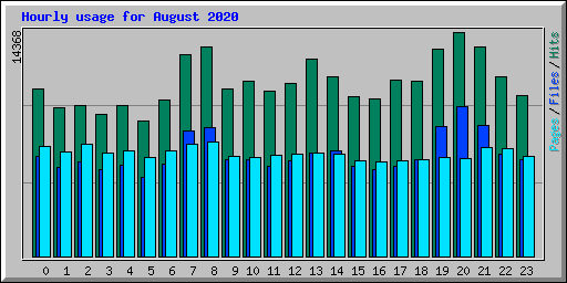Hourly usage for August 2020