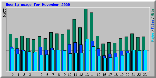 Hourly usage for November 2020