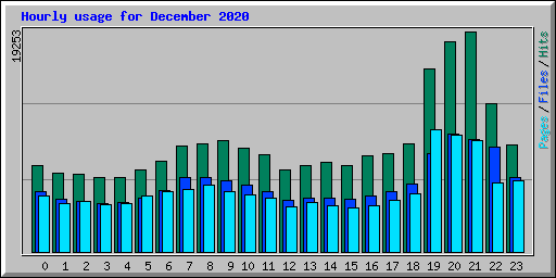 Hourly usage for December 2020