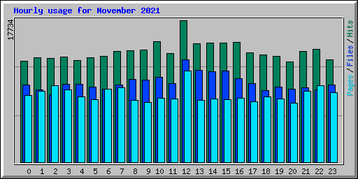 Hourly usage for November 2021