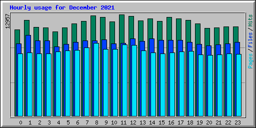 Hourly usage for December 2021