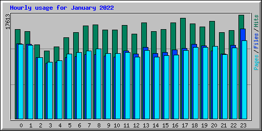Hourly usage for January 2022