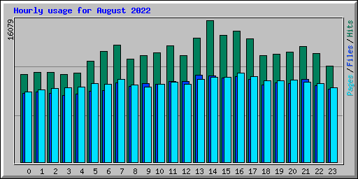 Hourly usage for August 2022