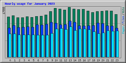 Hourly usage for January 2023