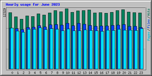 Hourly usage for June 2023