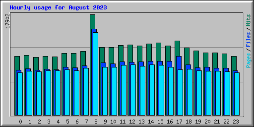 Hourly usage for August 2023