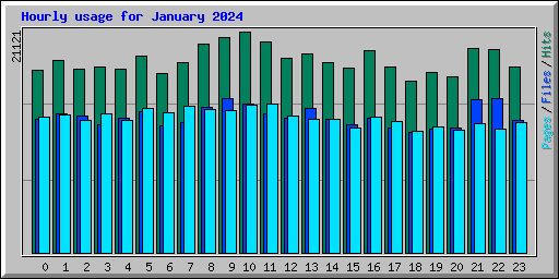 Hourly usage for January 2024