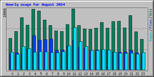 Hourly usage for August 2024
