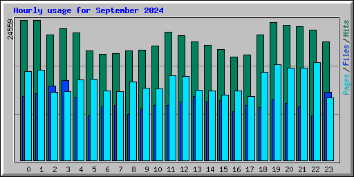 Hourly usage for September 2024