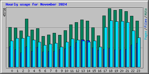 Hourly usage for November 2024