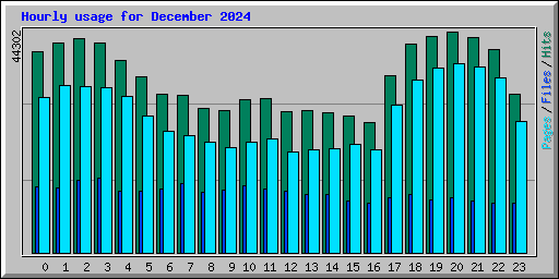 Hourly usage for December 2024