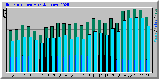 Hourly usage for January 2025