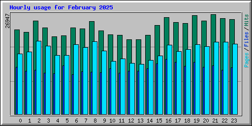 Hourly usage for February 2025