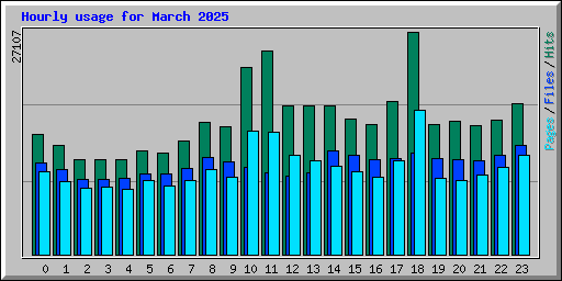 Hourly usage for March 2025
