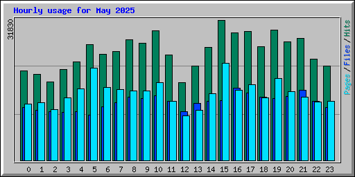 Hourly usage for May 2025