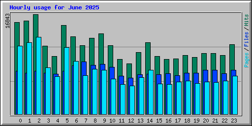 Hourly usage for June 2025