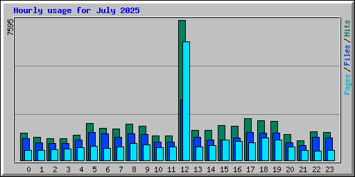 Hourly usage for July 2025
