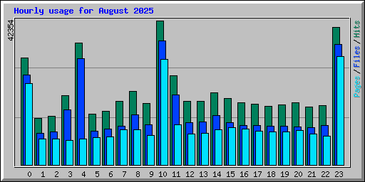 Hourly usage for August 2025