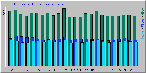 Hourly usage for November 2025