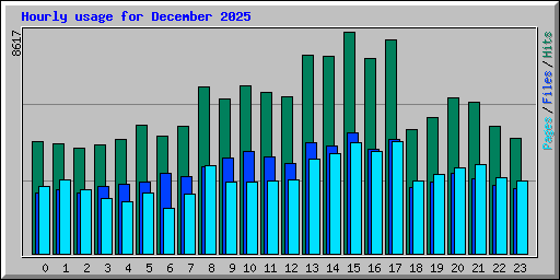 Hourly usage for December 2025