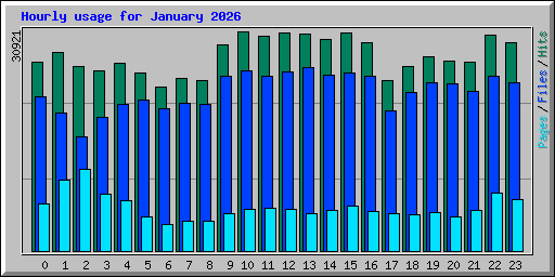Hourly usage for January 2026